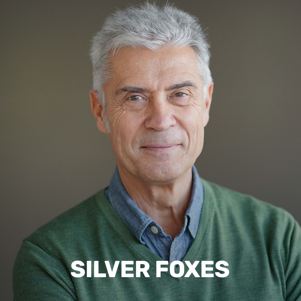 Silver Foxes
